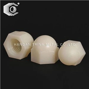DIN1587 Plastik Najlon Cap Nut