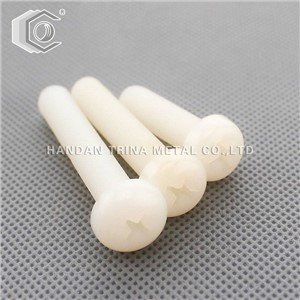 DIN7985 Plastik Nylon Pan Magna vit